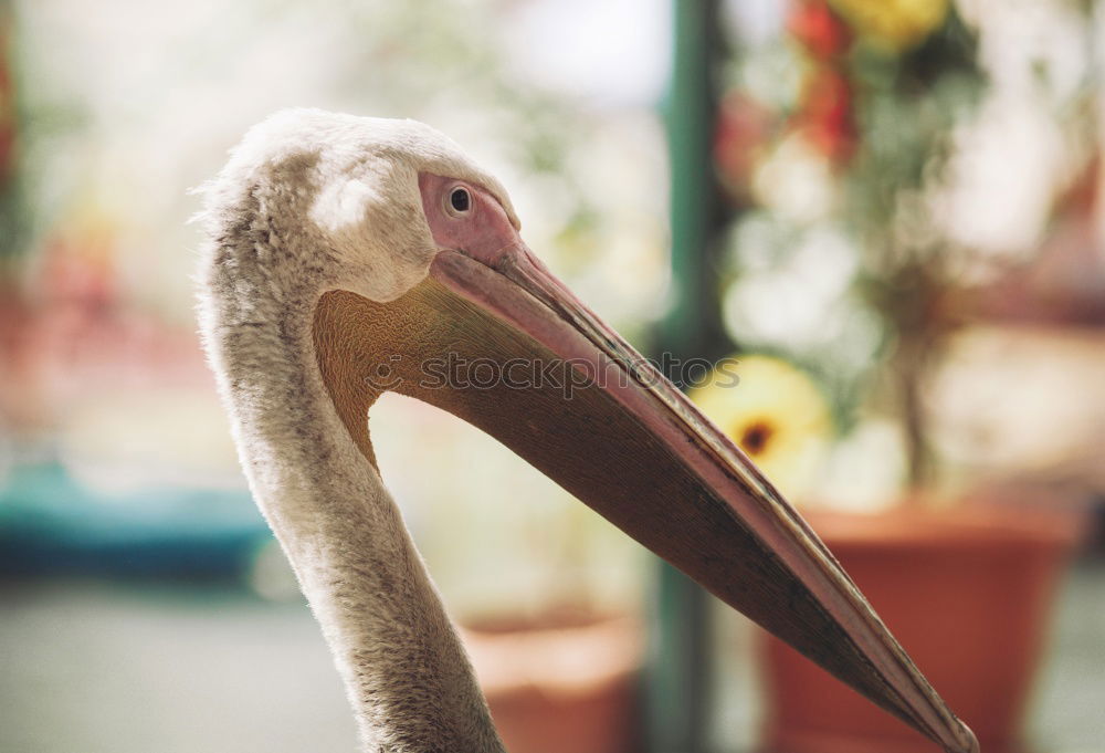 Similar – Image, Stock Photo very close. Cloudless sky