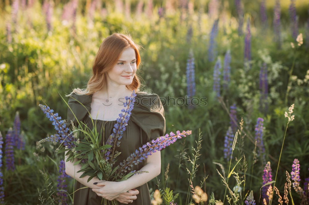 Similar – Young woman resting in a field of flowers