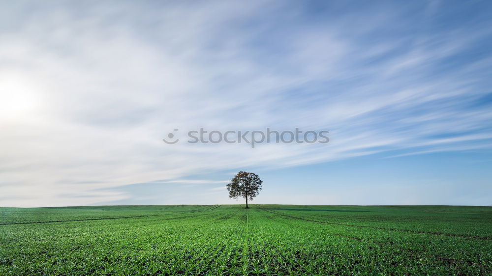 Similar – autumn weather Agriculture