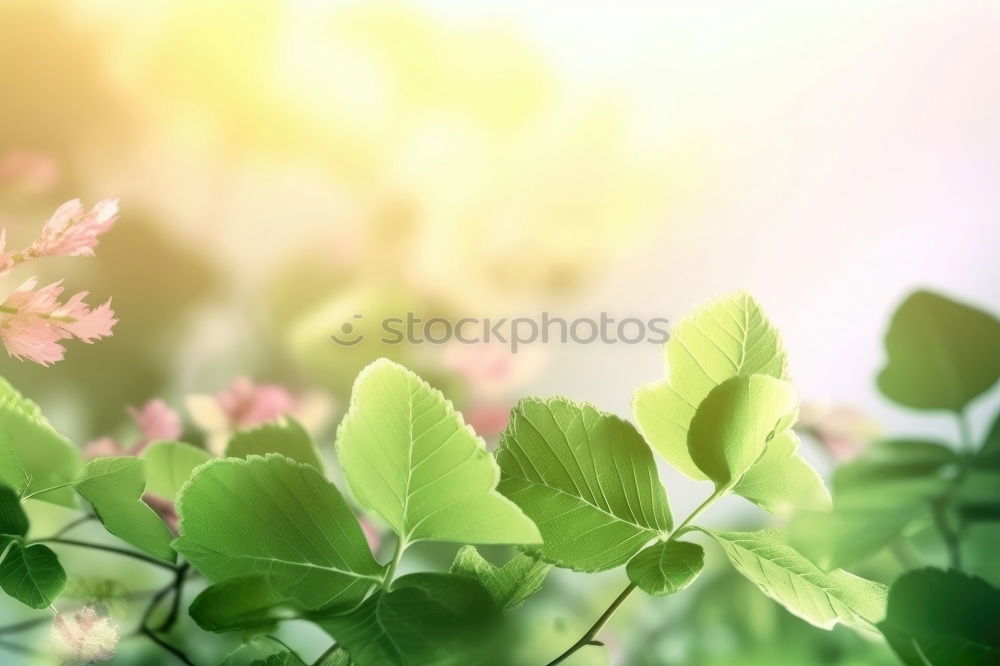 Similar – Image, Stock Photo GREEN BANG