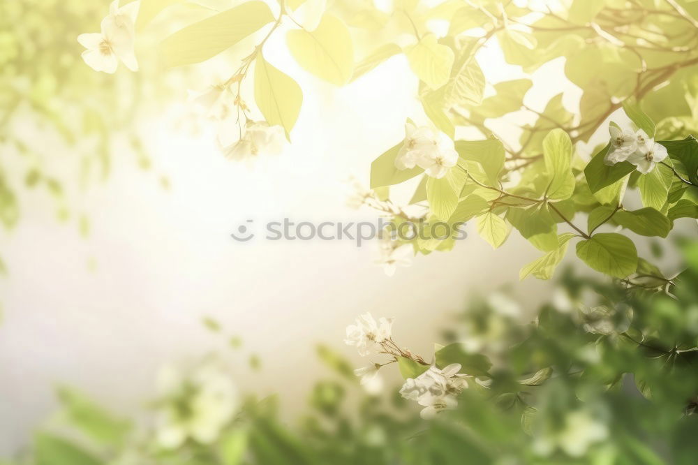 Similar – Image, Stock Photo Summer Garden with flower bed