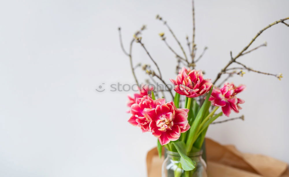 Similar – Image, Stock Photo setting flowers Lifestyle