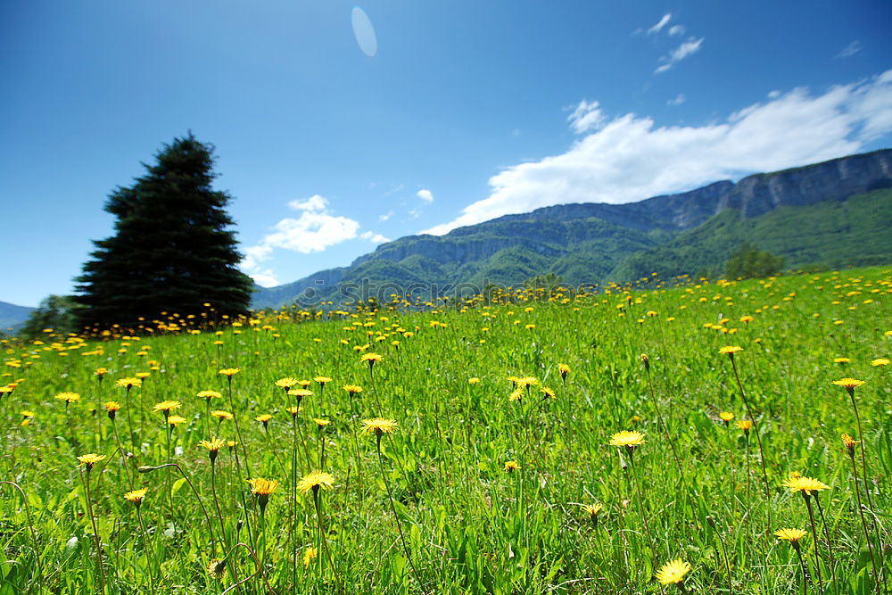 Similar – Image, Stock Photo toward heaven Mountain