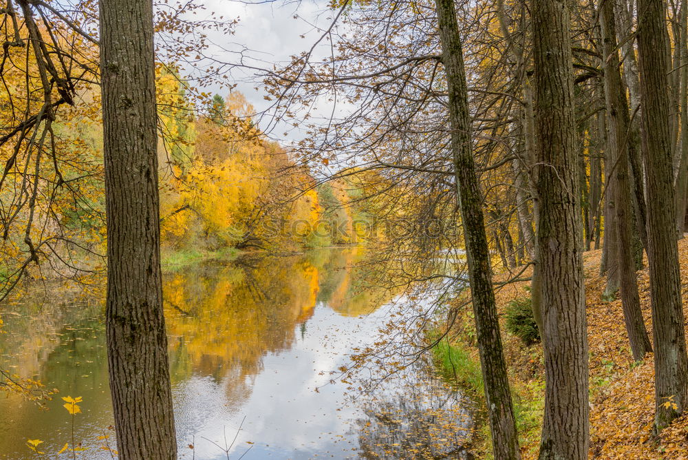 Similar – Image, Stock Photo autumn mood Nature