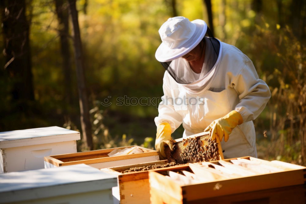 Image, Stock Photo Beekeeper working collect honey.