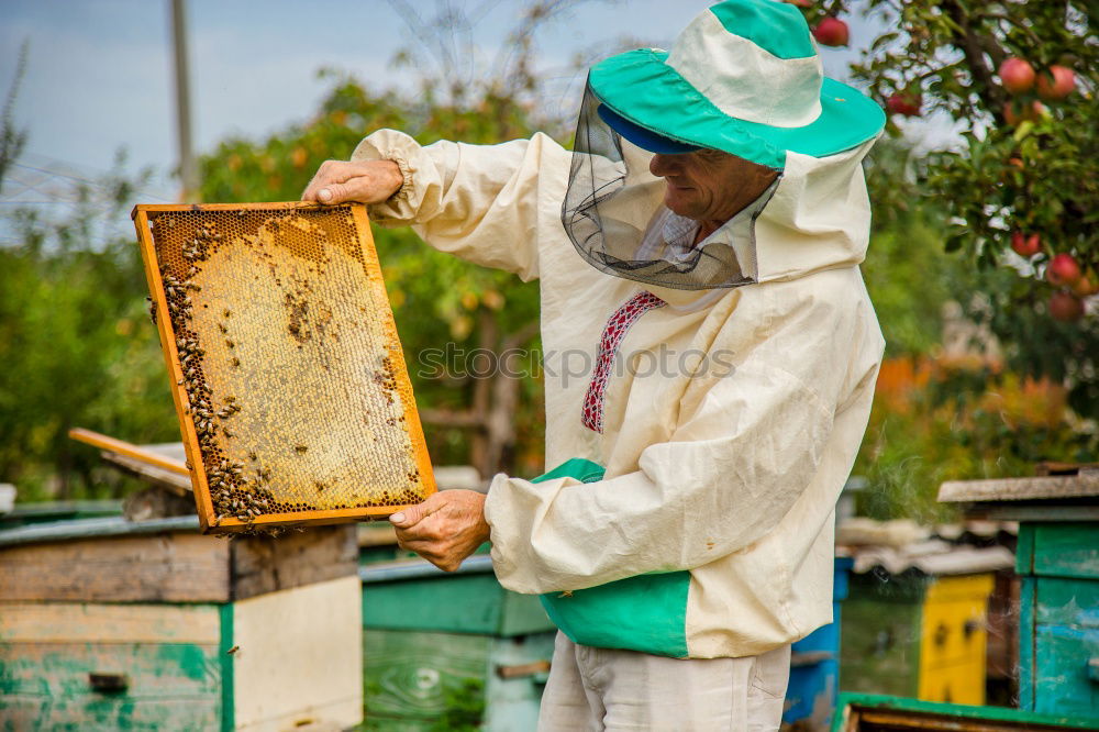 Similar – Image, Stock Photo Beekeeper working collect honey.