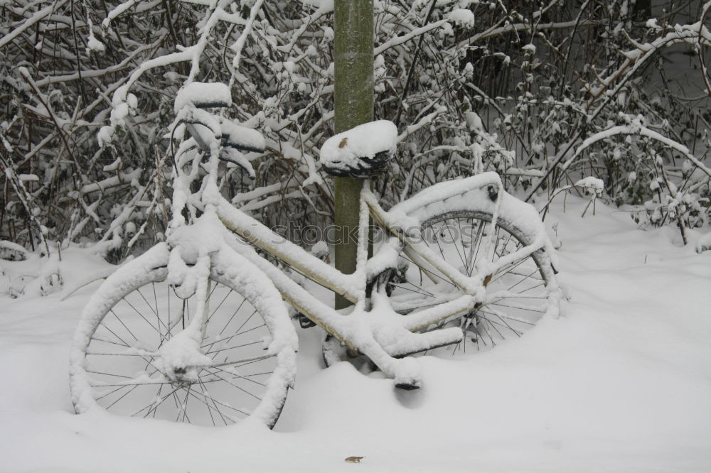 Similar – Image, Stock Photo not my bike Winter Snow