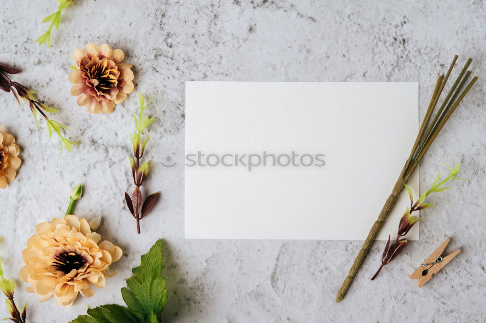 Similar – Garden tools with flower parts on empty notebook .