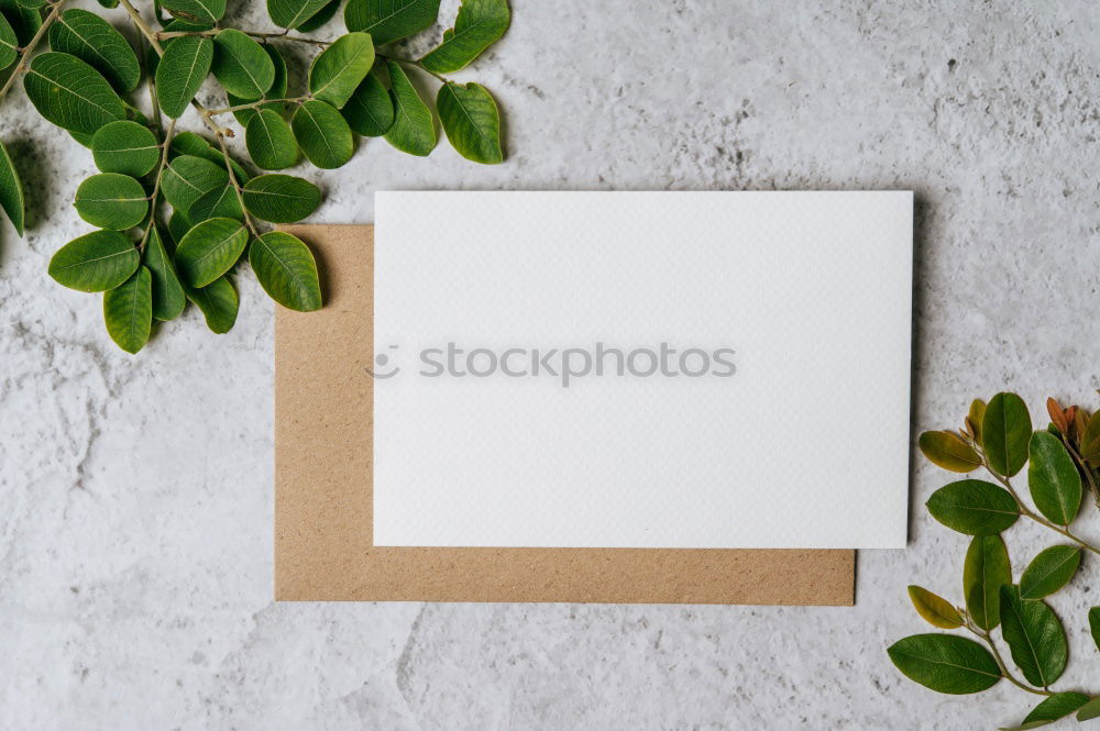 Similar – Image, Stock Photo Table with fresh green leaves and flowers