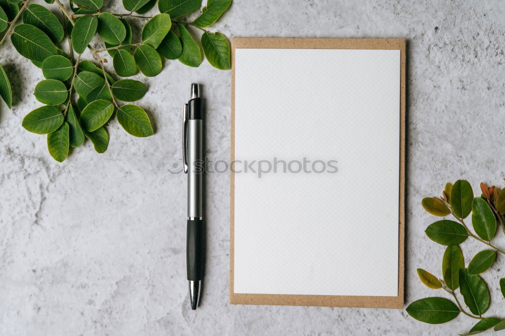 Similar – Image, Stock Photo White sheet of paper & the leaf of a monstera on pink background