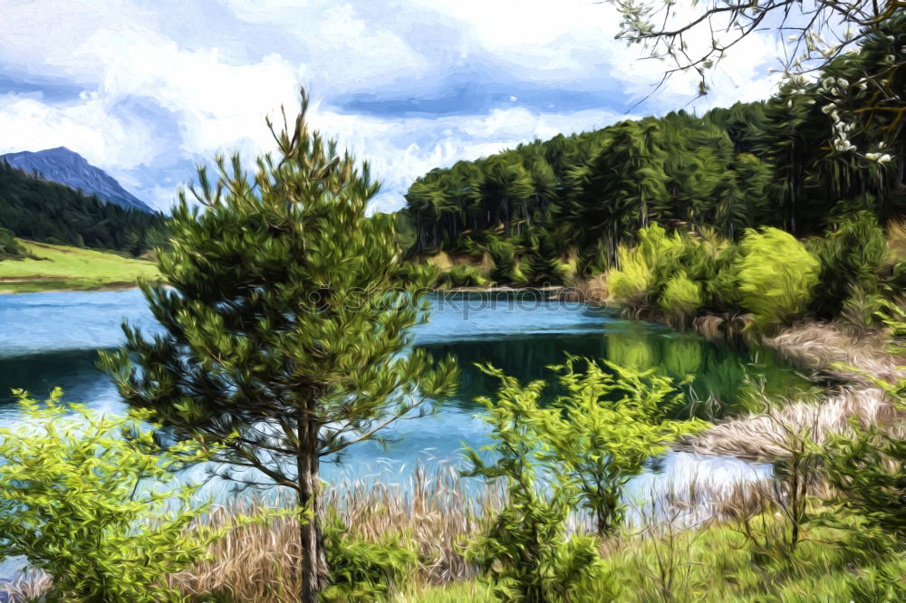 Similar – Waldsee mit Blick zum Schlern