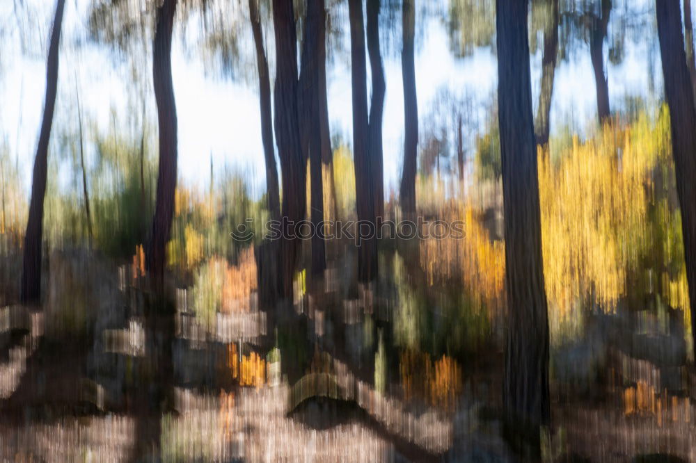 Similar – Image, Stock Photo . Reflection on a large window pane, with trees in the background, in the window pane white stripes are reflected.