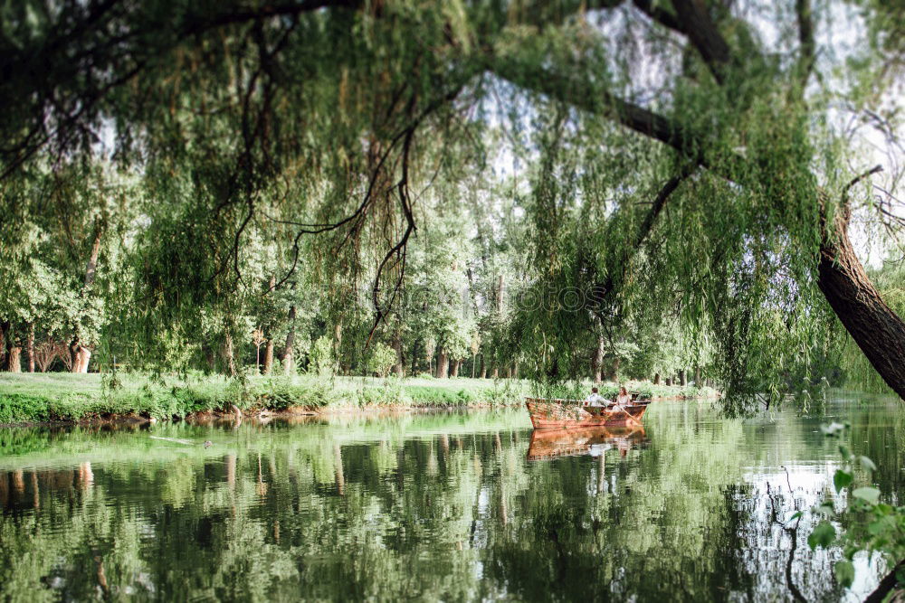 Similar – Image, Stock Photo high water Environment