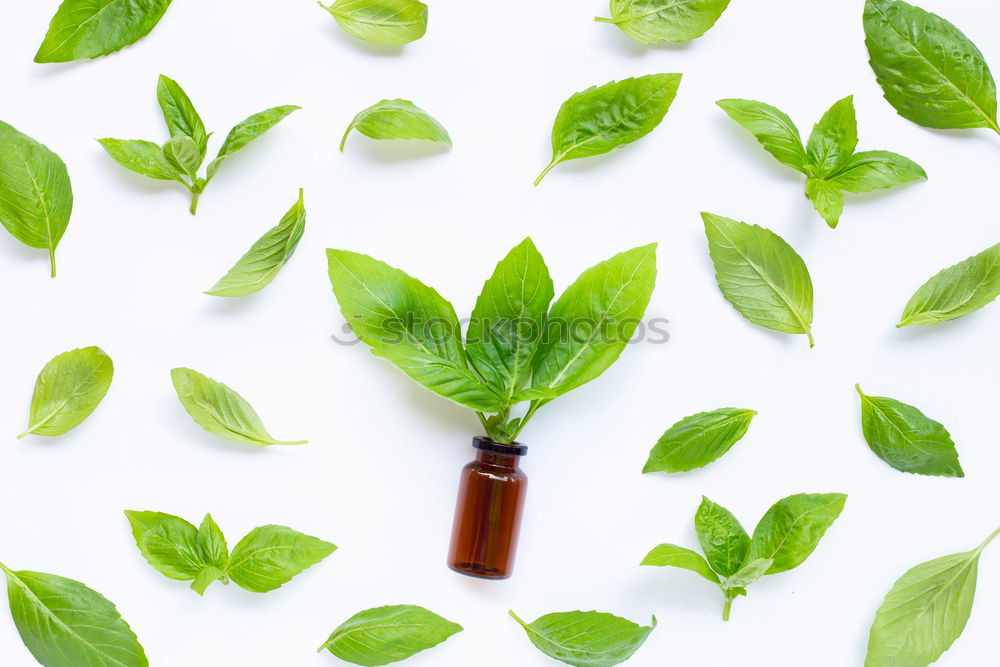 Image, Stock Photo Green facial serum with pipette and green leaves