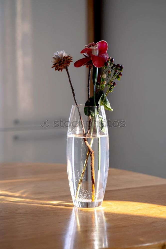 Similar – Image, Stock Photo rose Table Rose Vase