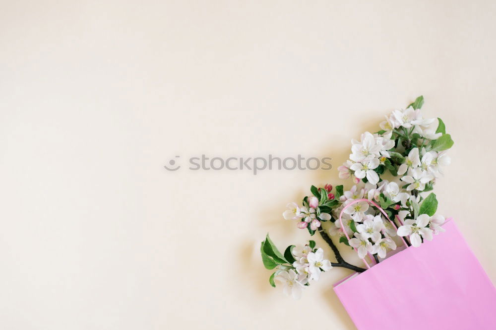 Similar – Instant pictures showing a young woman