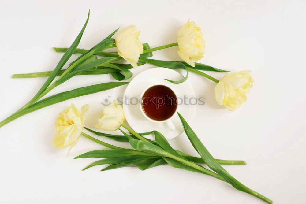 Similar – Image, Stock Photo Honey with fresh fruit tree blossoms