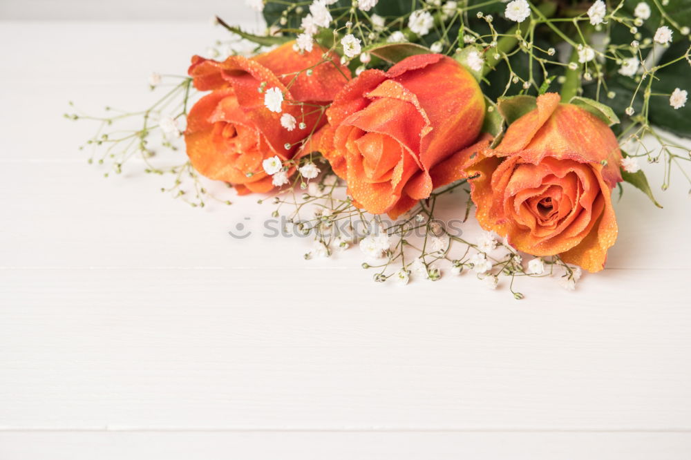 Similar – Female hand with roses bouquet of flowers