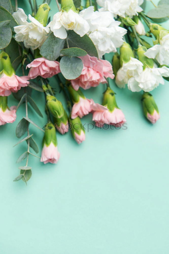 Similar – Image, Stock Photo Pack bouquet step by step 6