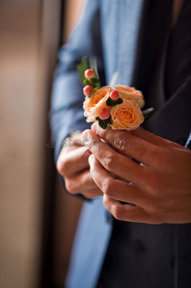 Similar – Image, Stock Photo Woman with cookies in her hands