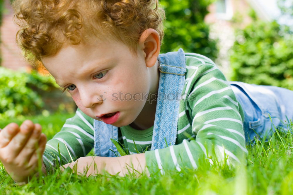 Similar – Child collects chestnuts