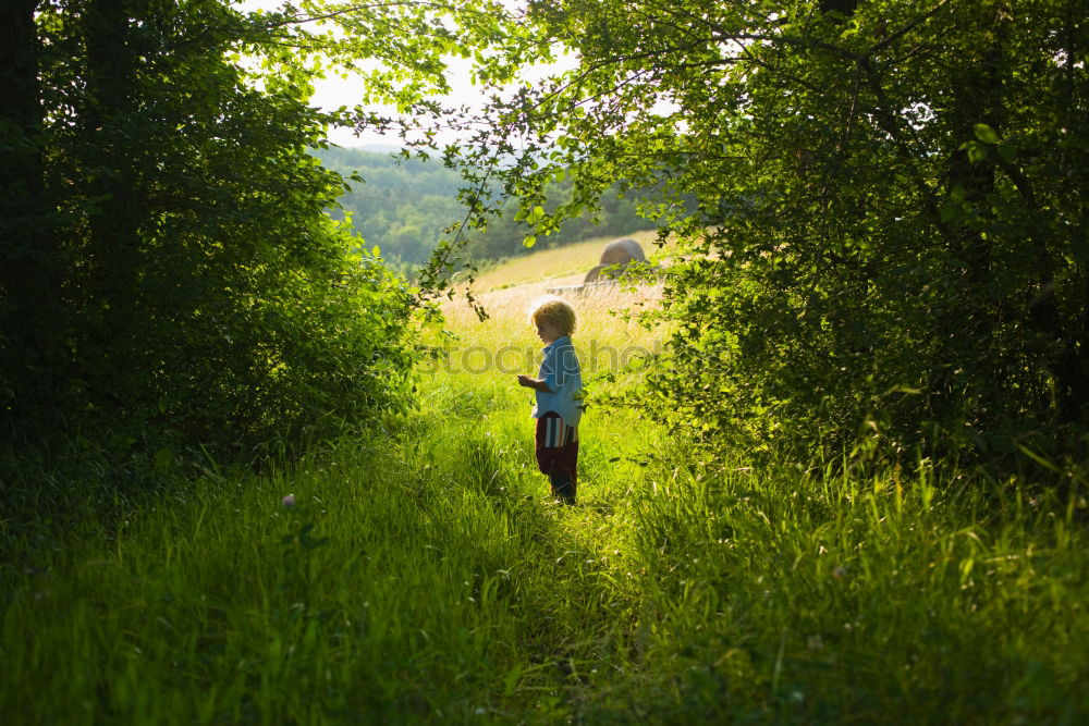 Similar – Image, Stock Photo amazement Ruin Wonder