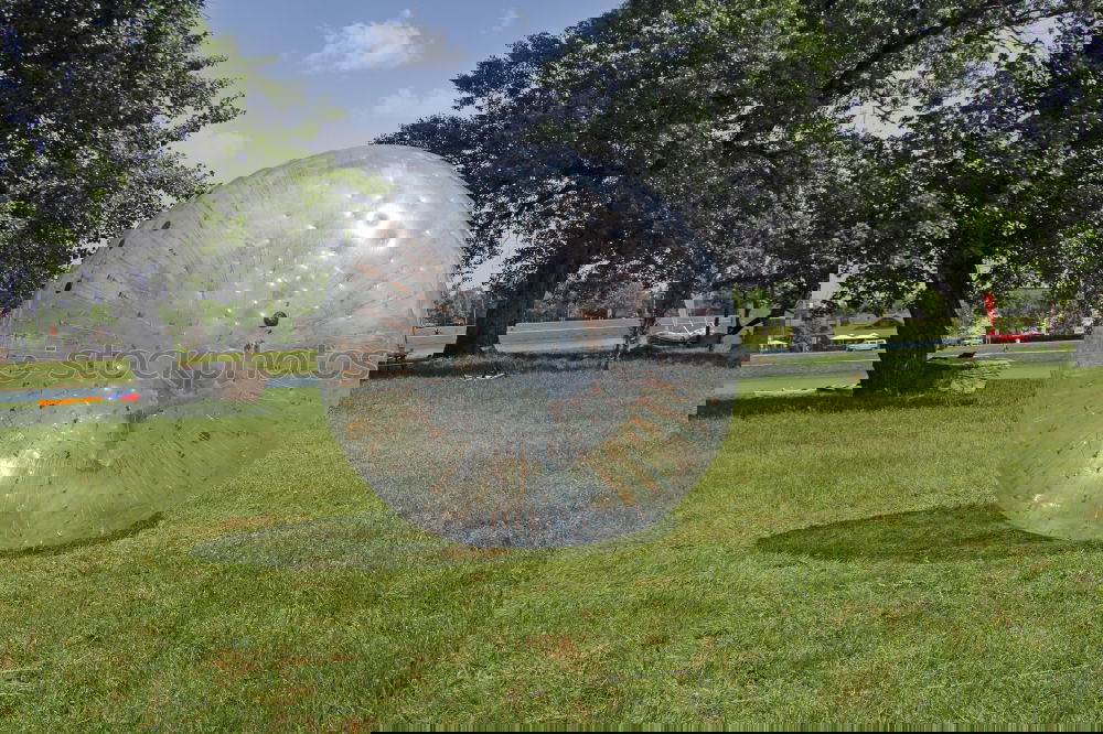 Similar – Foto Bild trees Kunst Baum