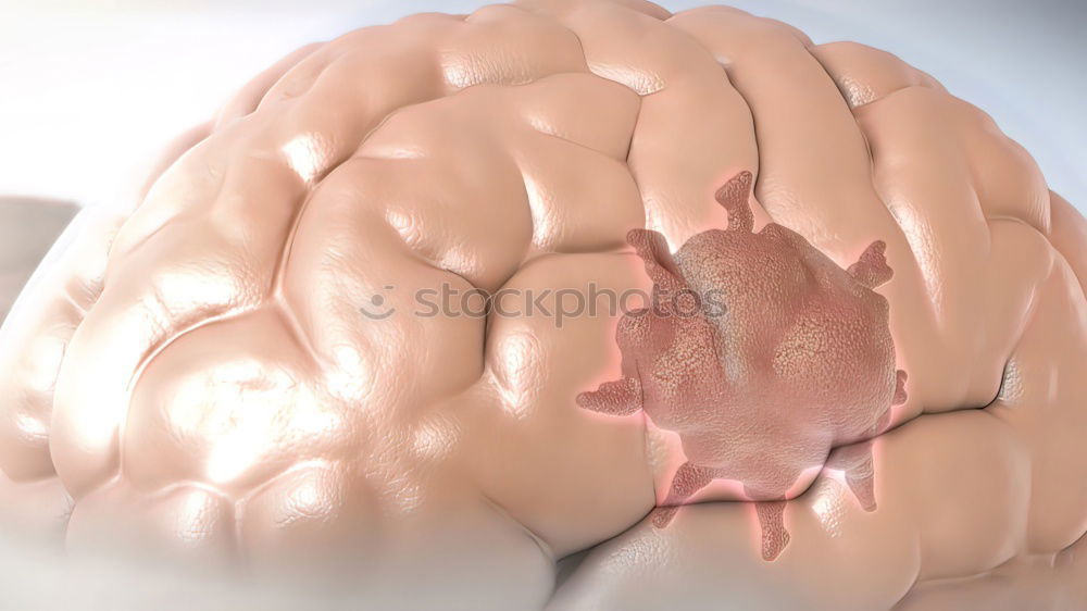 Image, Stock Photo brain