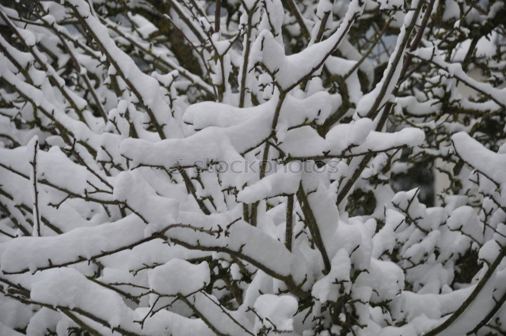 Similar – Mourning cross in the snow