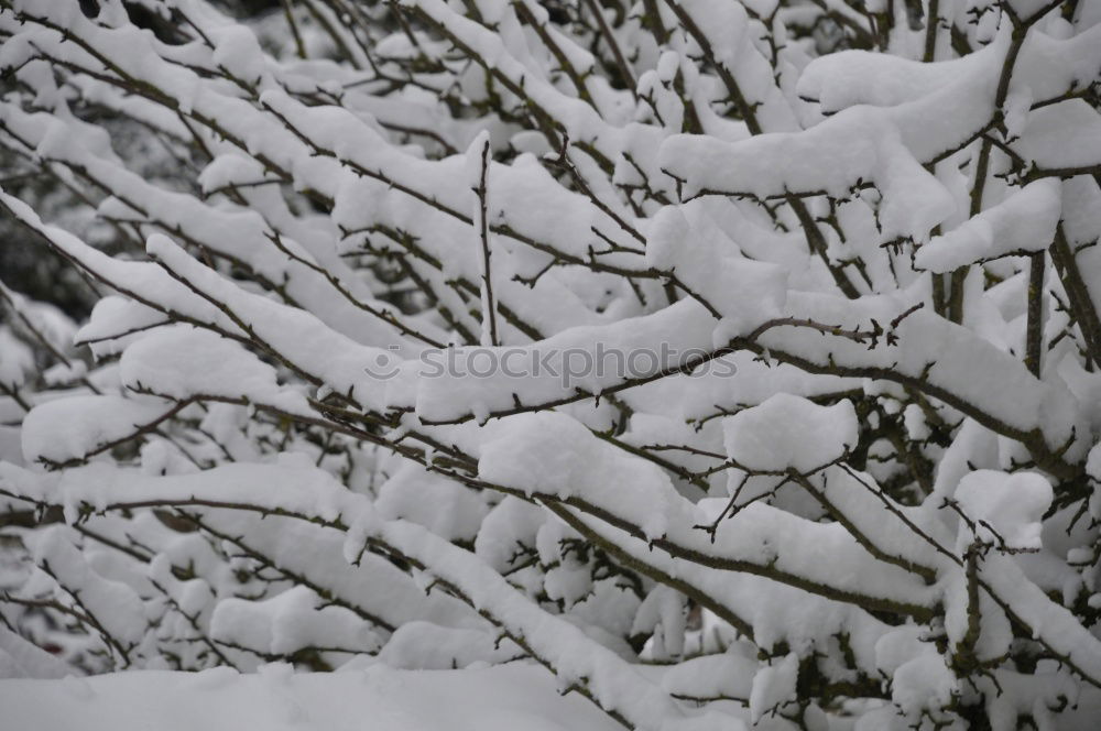 Similar – Wege und Pfade Eis Frost