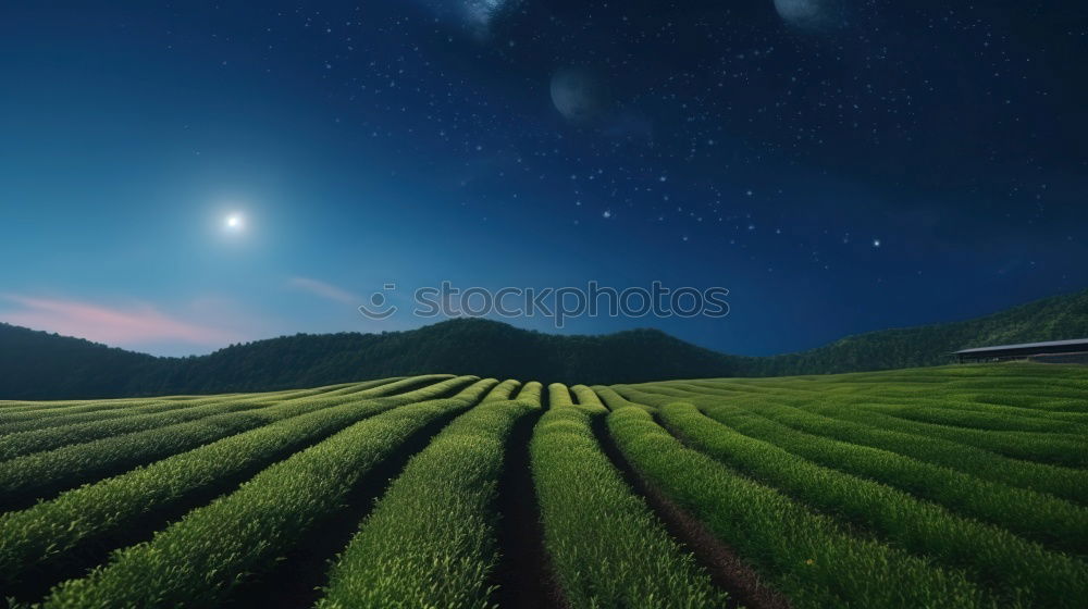 Similar – Image, Stock Photo Palatine Sun Star