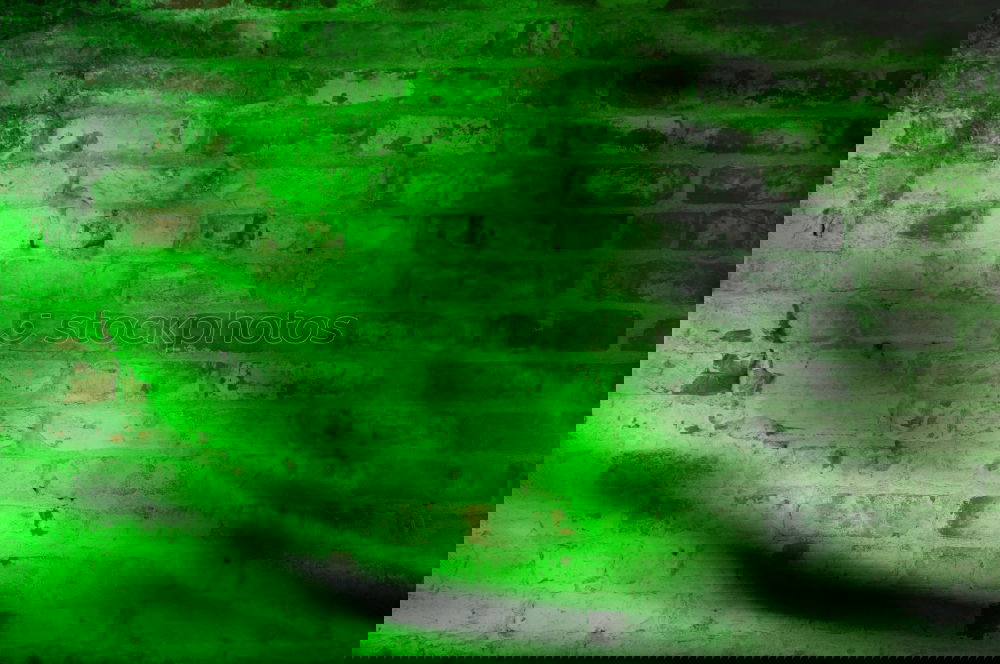 Similar – Image, Stock Photo cauldron Boiler Green
