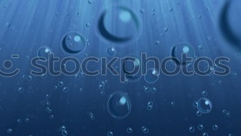 Similar – Image, Stock Photo cobblestone puddle East