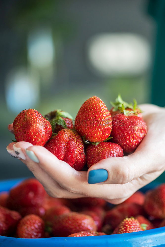 Similar – Image, Stock Photo strawberries Food Fruit