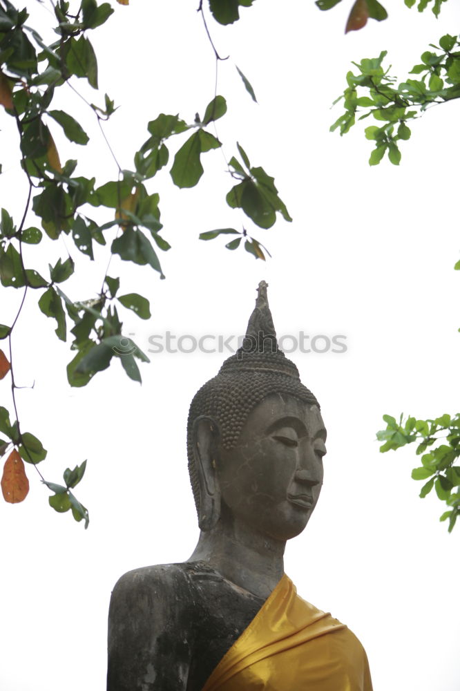 Similar – Image, Stock Photo Tian Tan Buddha Temple, Hong Kong