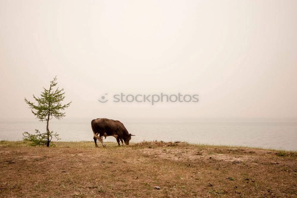 Similar – Image, Stock Photo hitchhiking through America