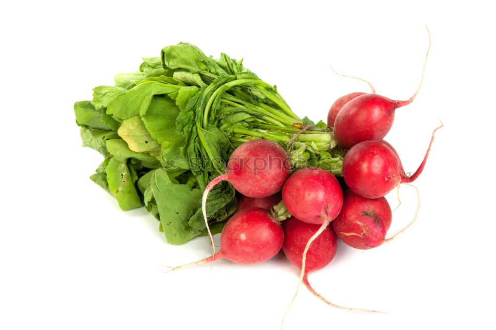 Similar – radish Food Vegetable