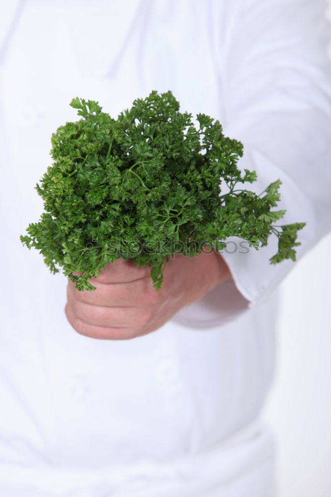 Similar – Image, Stock Photo rocket salad Food