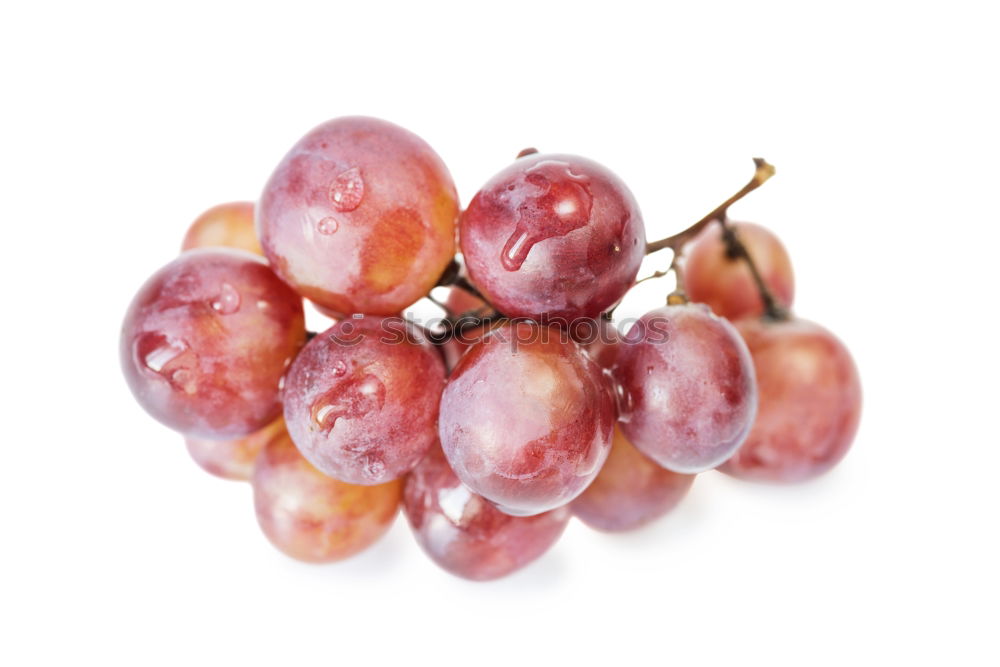 Similar – Image, Stock Photo Grapes bunch