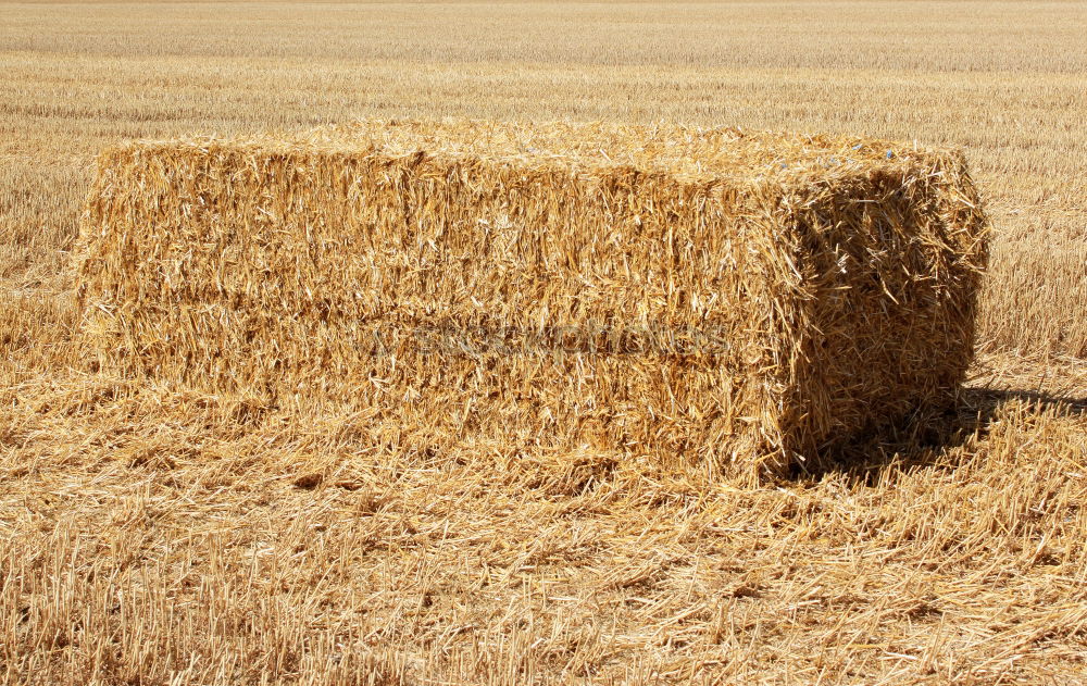 Similar – Strohballen Feld