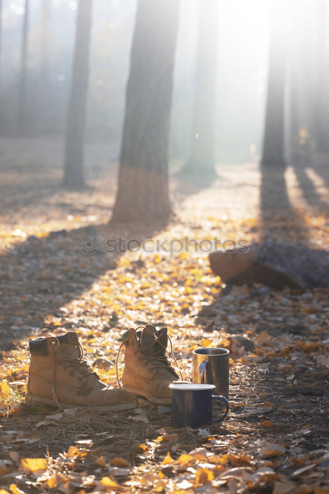 Similar – Image, Stock Photo #A# AutumnEnjoy