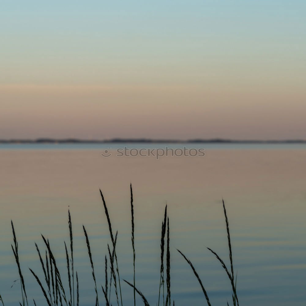 Image, Stock Photo city lake