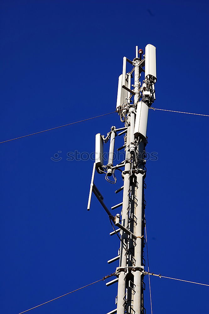 Similar – Image, Stock Photo air rat landing platform