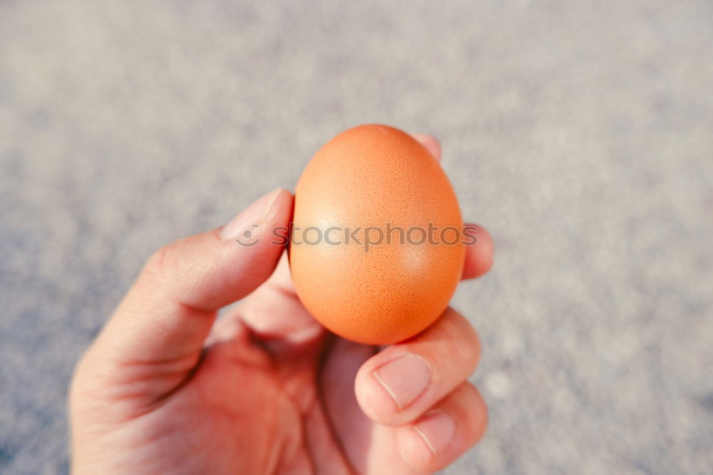 Similar – Image, Stock Photo Egg Egg Egg Yolk Hand