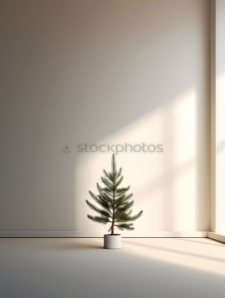 Similar – Image, Stock Photo Christmas preparation