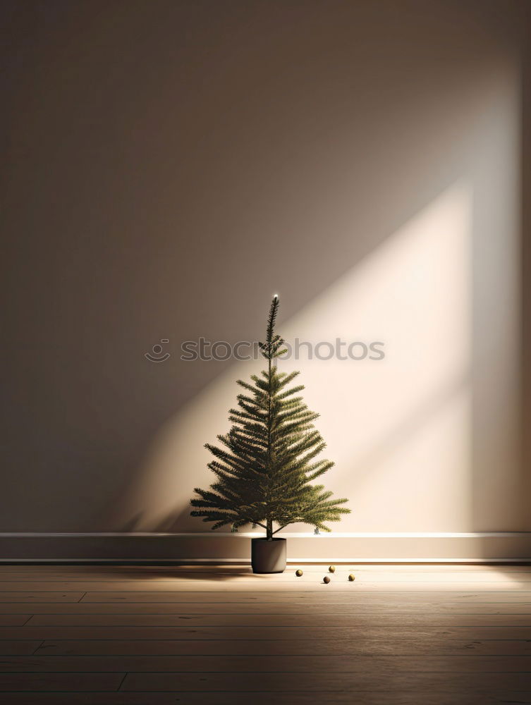 Similar – Christmas tree