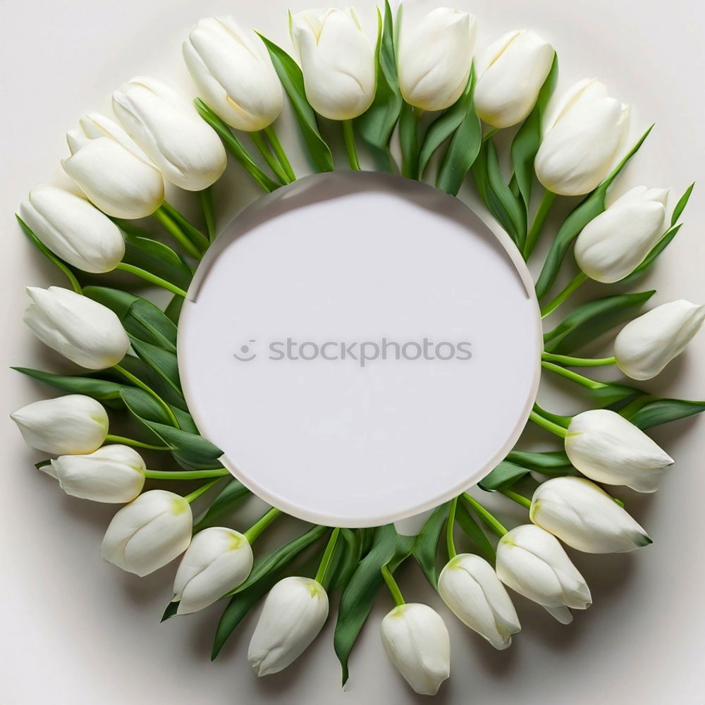 Similar – Image, Stock Photo Spring wreath with tulips