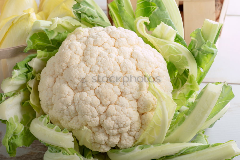 Similar – vegetable soccer Delicious