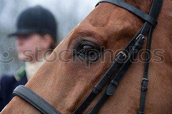 Similar – Image, Stock Photo affection Lifestyle Joy