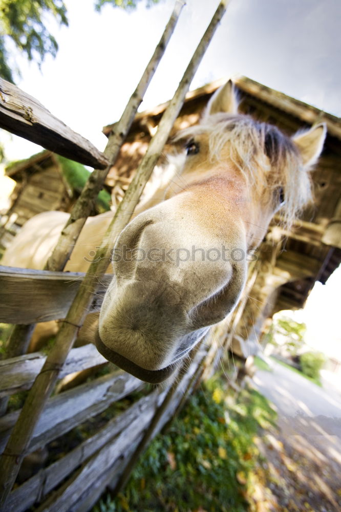 Similar – Image, Stock Photo striping II Agriculture